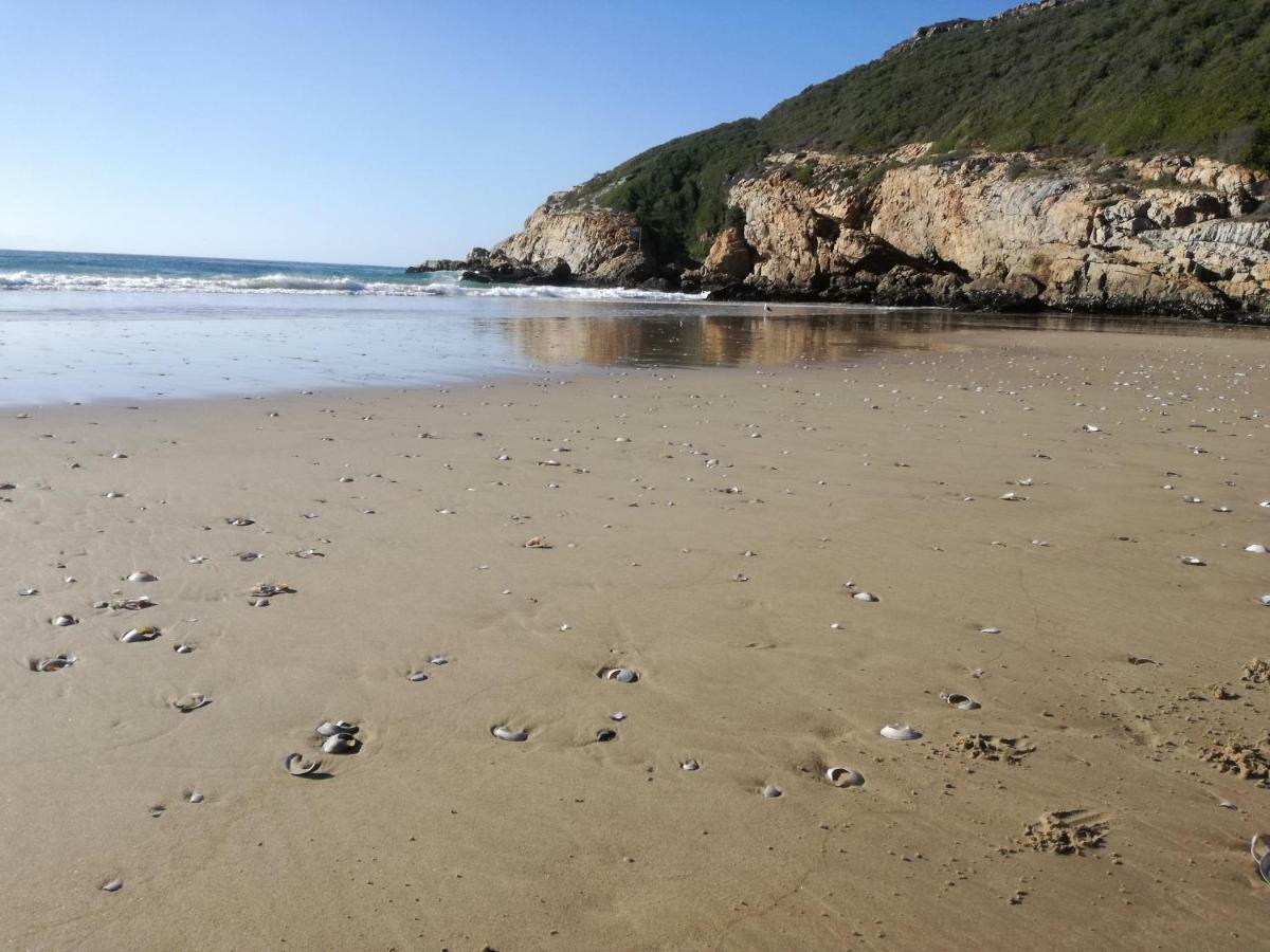 Apartament Prettinplett Plettenberg Bay Zewnętrze zdjęcie